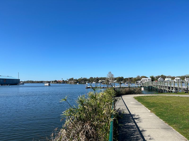 Salt Marsh Magic at Fort Island Trail Park