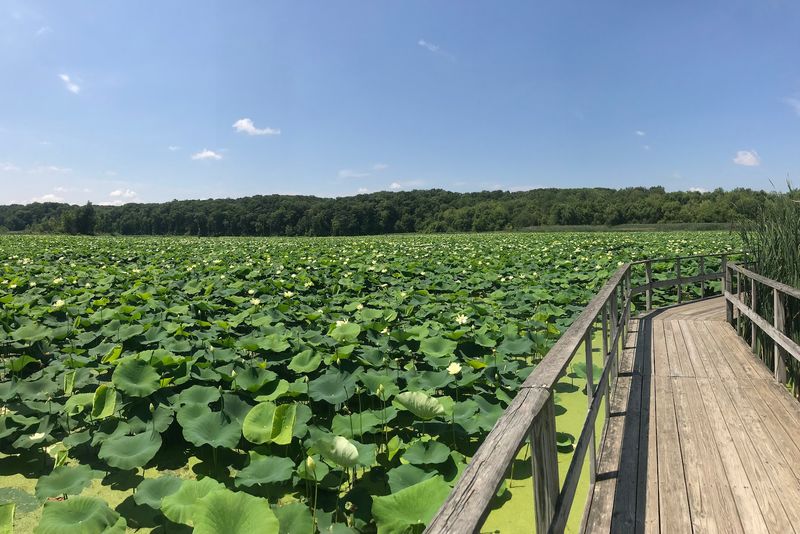 Heron County Park Is the Verified Wetland Destination