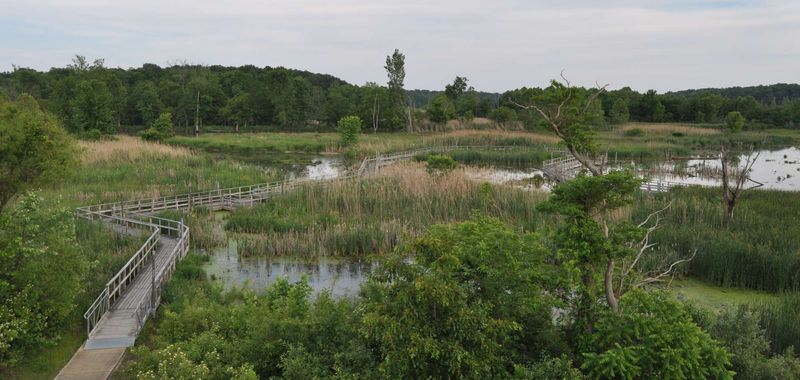 Heron County Park offers a documented wetland stop near Danville Heron County Park offers a documented wetland stop near Danville