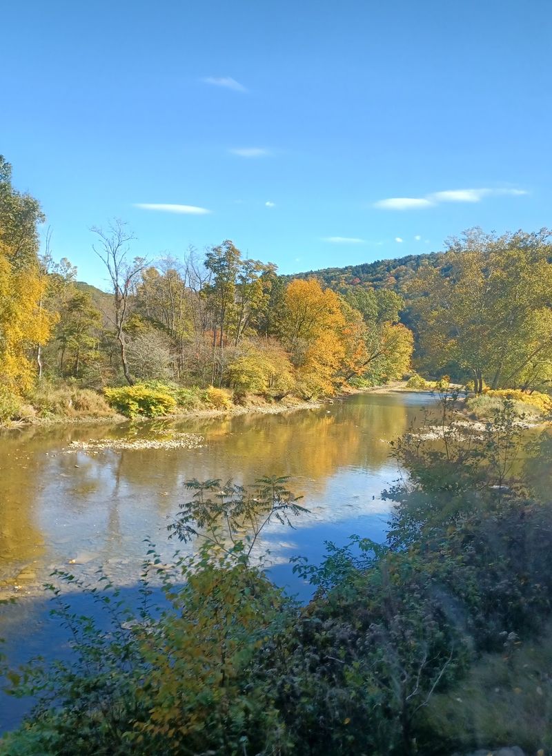 Herons, Hawks, And Deer Along The Creek Herons, Hawks, And Deer Along The Creek