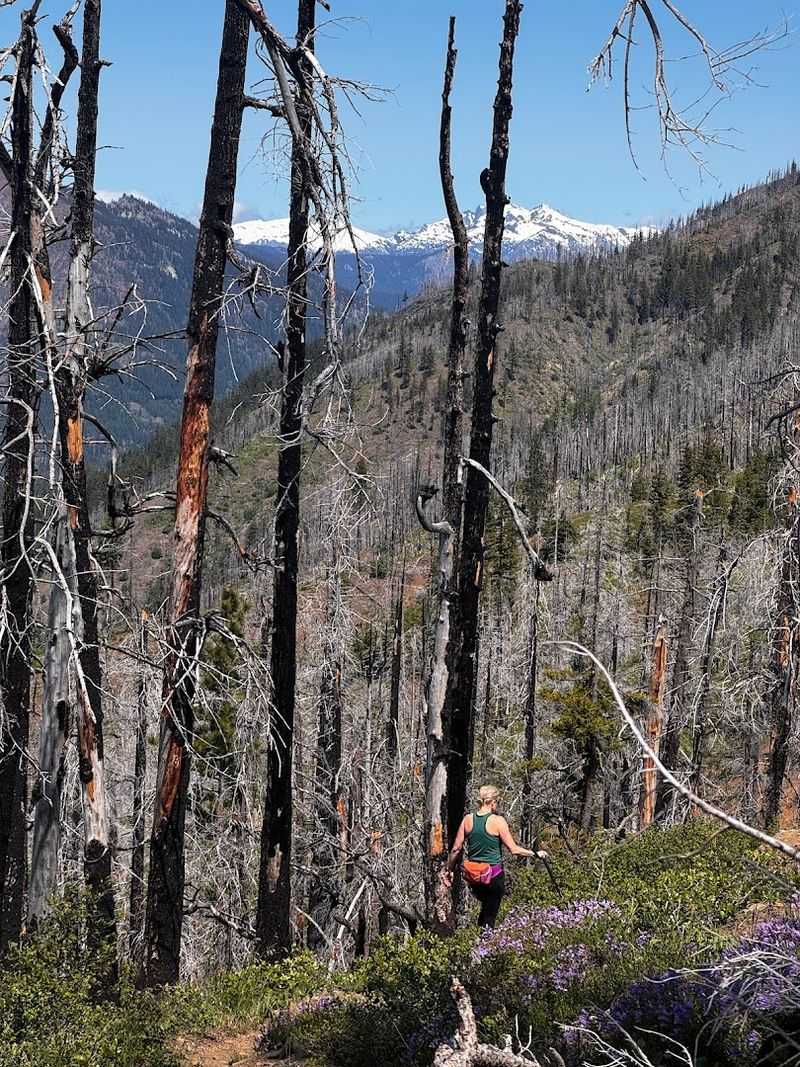 Hex Mountain Trail