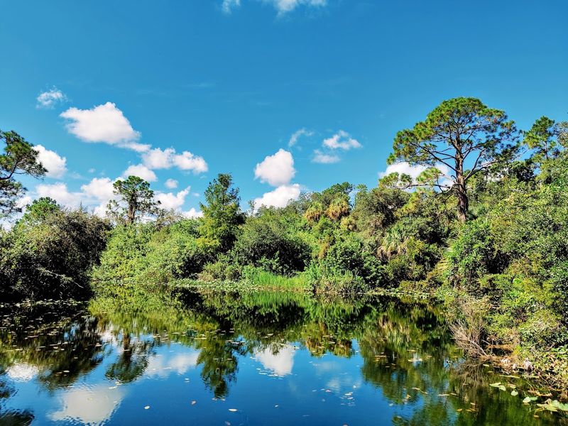 Hickey Creek Wildlife & Environmental Area, Alva