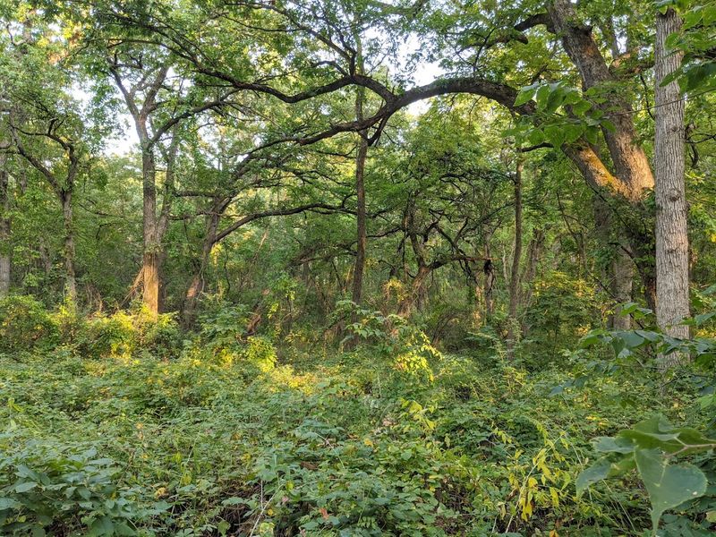 Stickney Run Conservation Area, Woodstock, Illinois