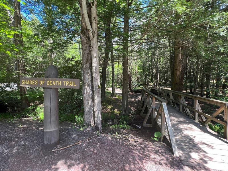 Hickory Run State Park, Shades Of D*ath Trail, White Haven, PA
