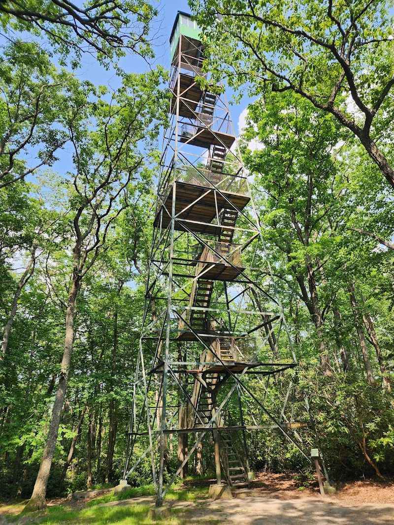 Cook Forest State Park, Cooksburg, PA