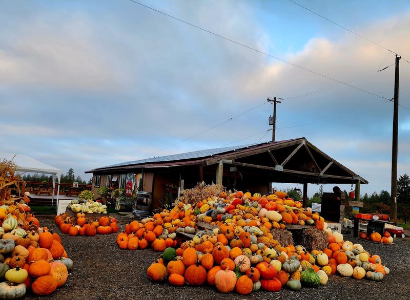 Hidden Acres Orchards LLC, Mead, WA Hidden Acres Orchards LLC, Mead, WA
