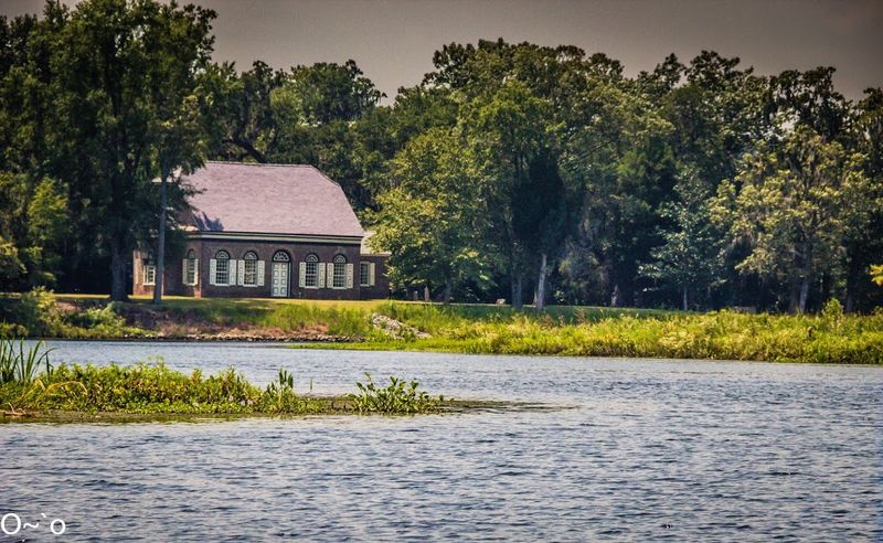 Hidden Along The Cooper River