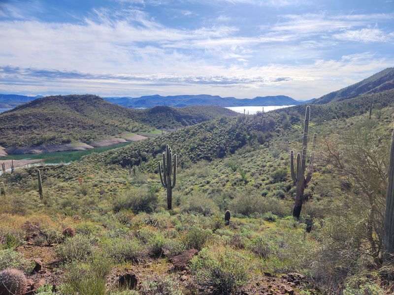 Desert Hiking With Lake Views