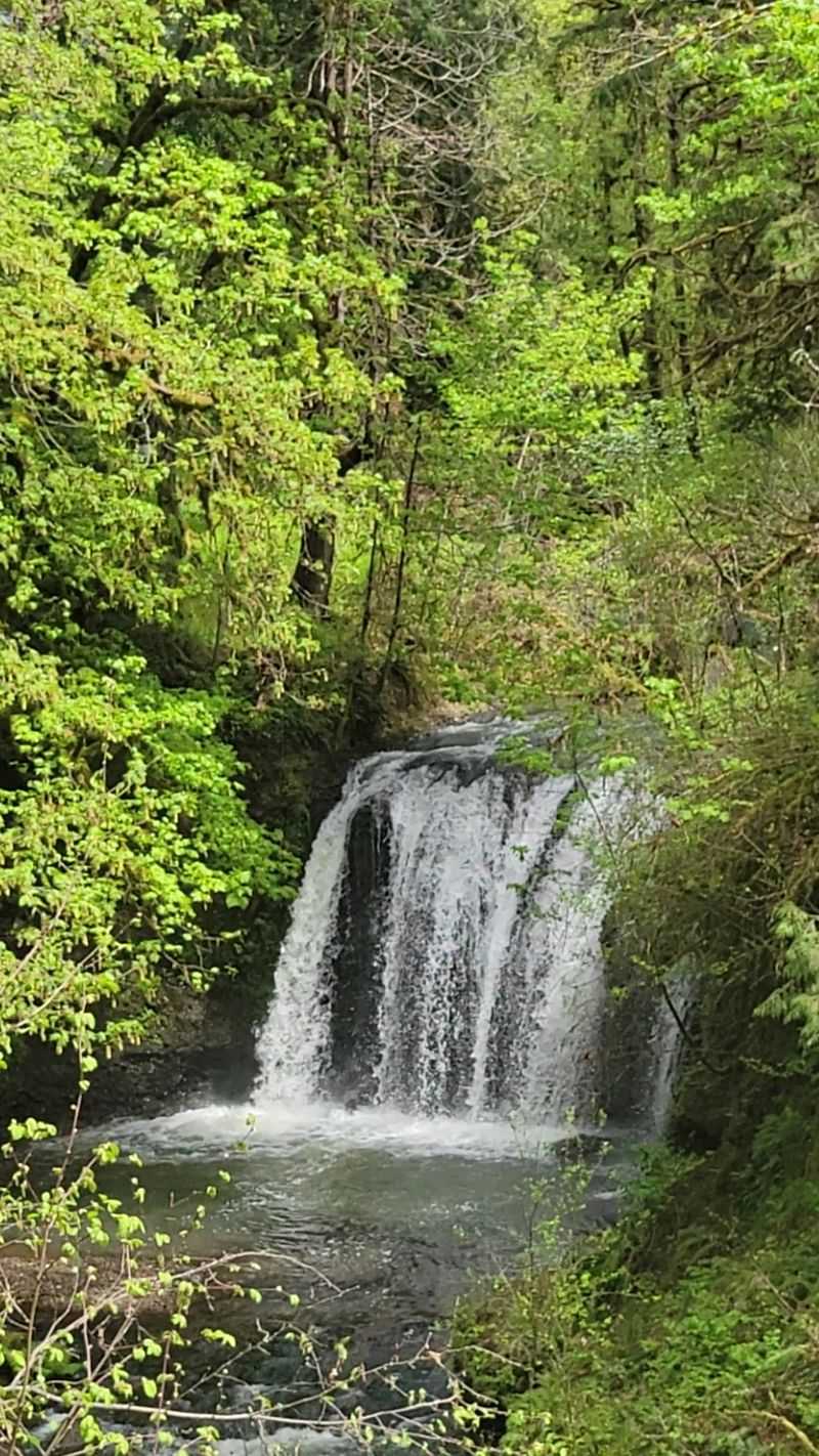 Hidden Falls Trail