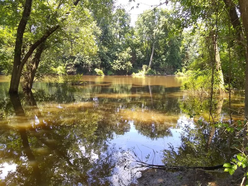 Hidden Green Spaces Near The Ouachitas