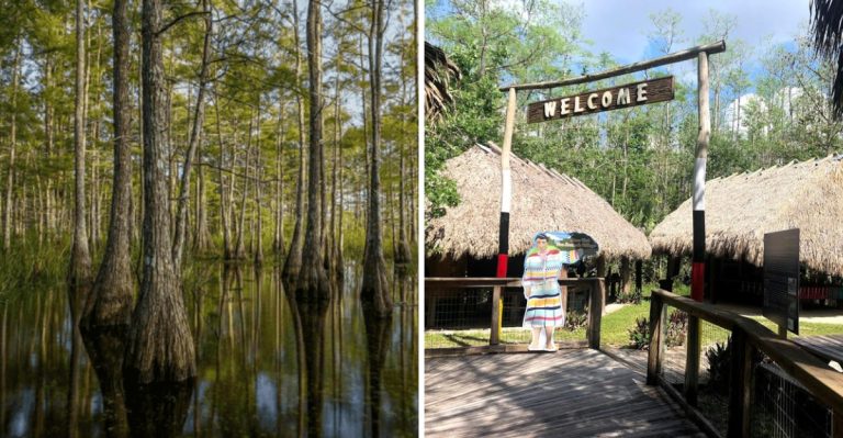 Hidden In 60 Acres Of Wild Everglades, This Florida Museum Preserves 5,000 Years Of Seminole History