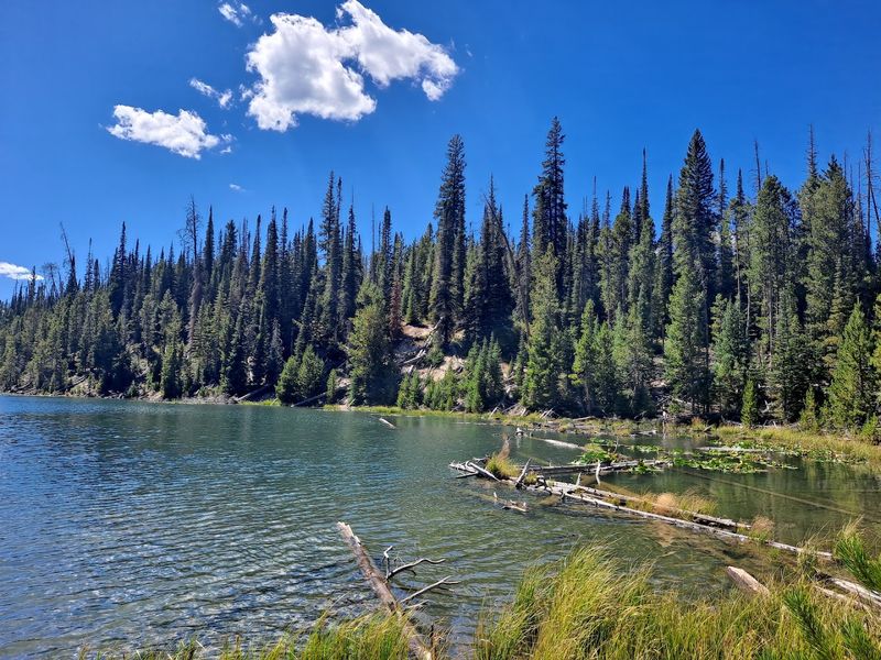Hidden Lakes Campground - Routt National Forest, Buffalo Pass