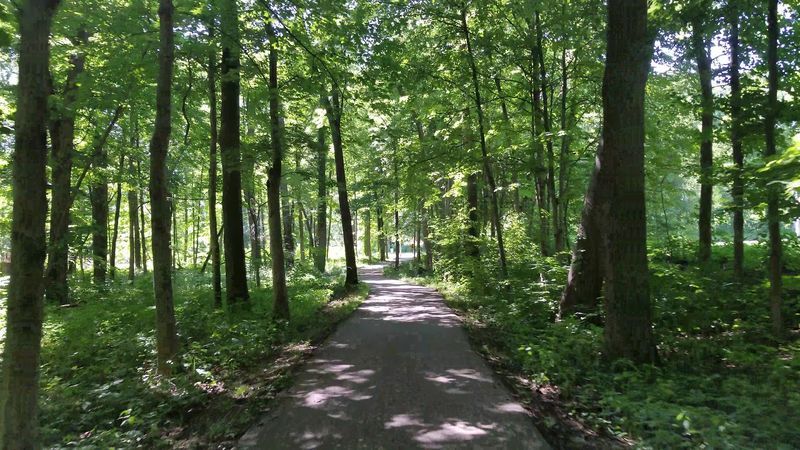 Bliss Woods Forest Preserve, Sugar Grove, Illinois