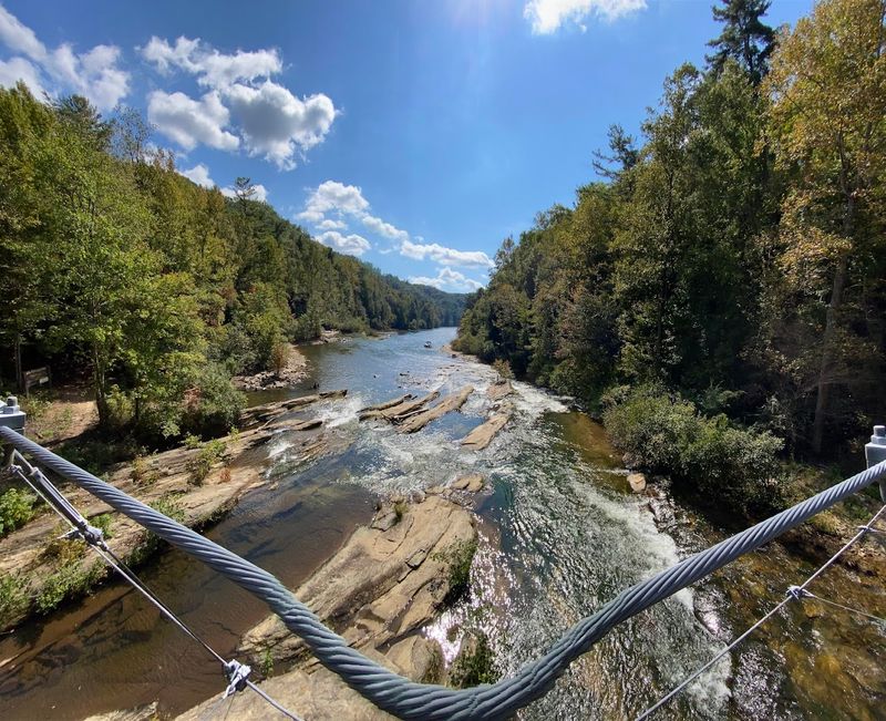 Crystal Clear Water and Abundant Fish