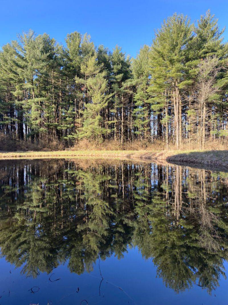 Hidden Springs State Forest - Central Illinois Hidden Springs State Forest - Central Illinois