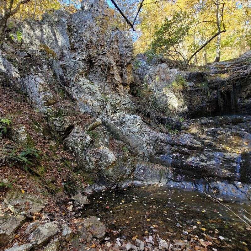 Hidden Springs With A Wild Soul