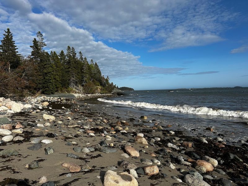 Low Tide Reveals Hidden Treasures