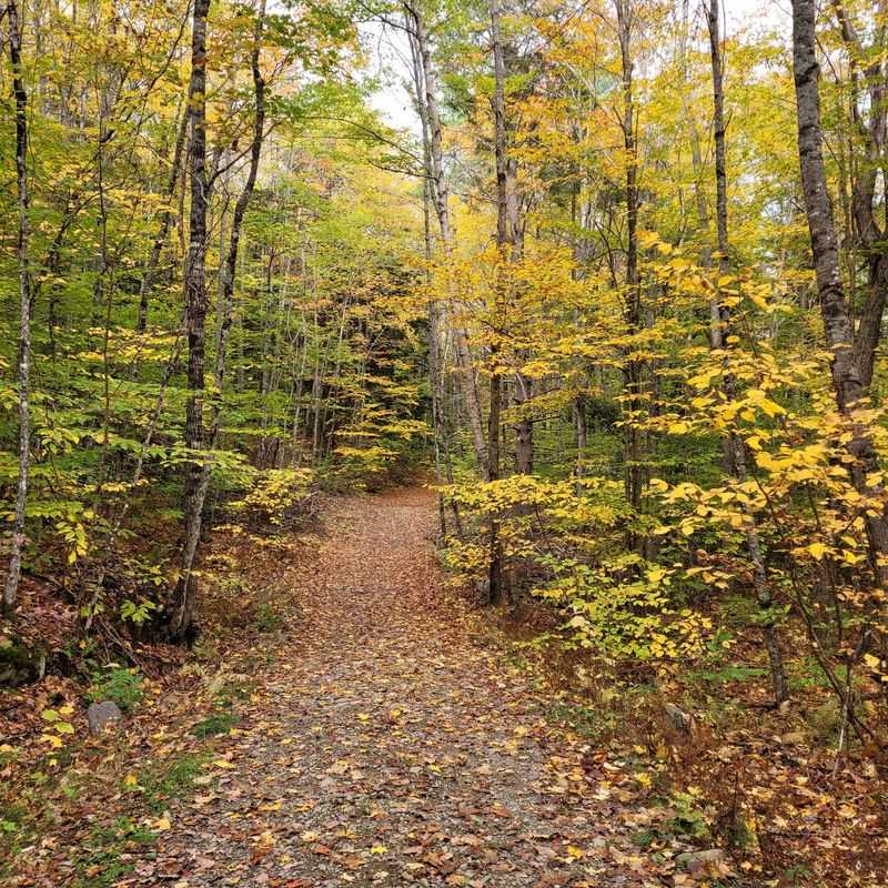 Hidden Valley Nature Center, Lincoln County