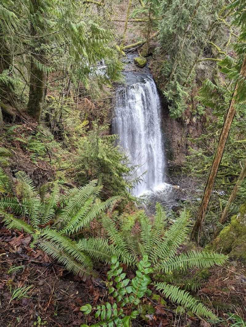 Hidden Waterfalls And Forest Trails