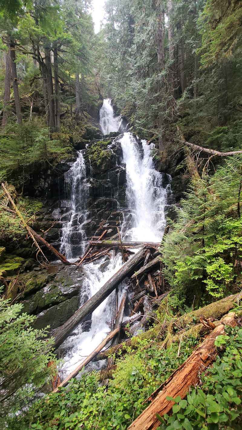 Hidden Waterfalls Within Reach