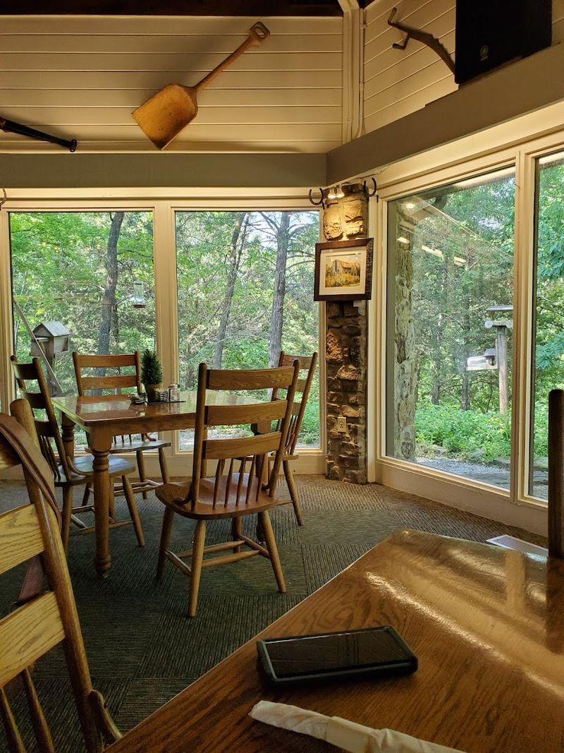 Spring Light Across The Forest Canopy
