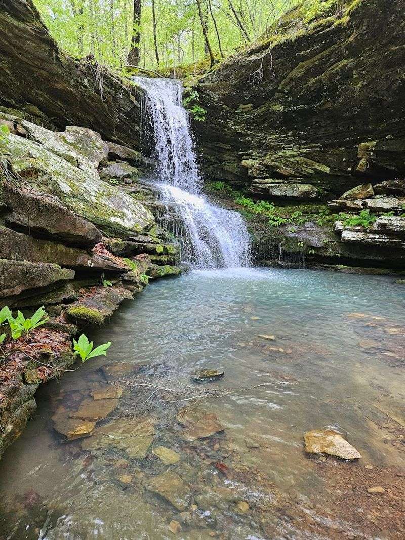 Magnolia Falls, Ozark National Forest