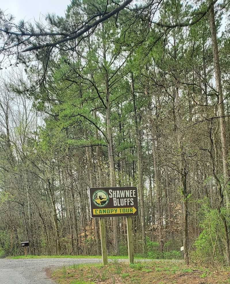 Reaching Close To Forty Miles Per Hour