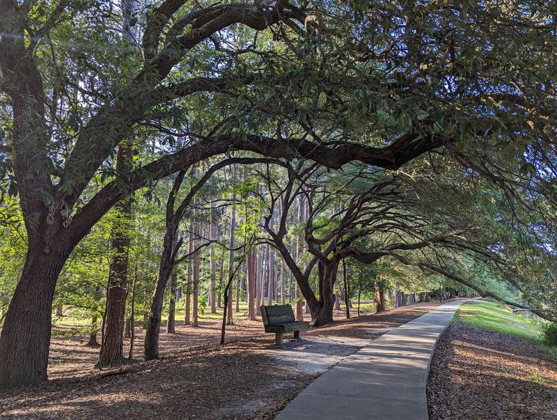High Grass Near Picnic Areas Presents A Sneaky Risk