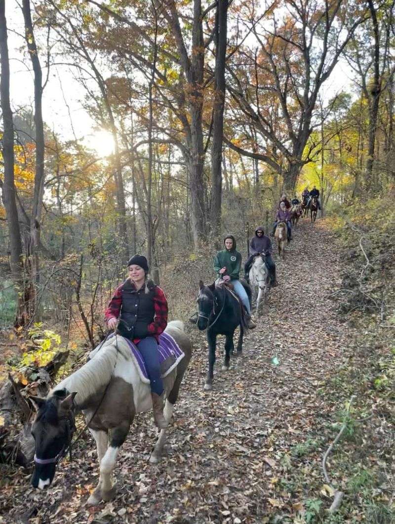 High Vibes Trail Rides