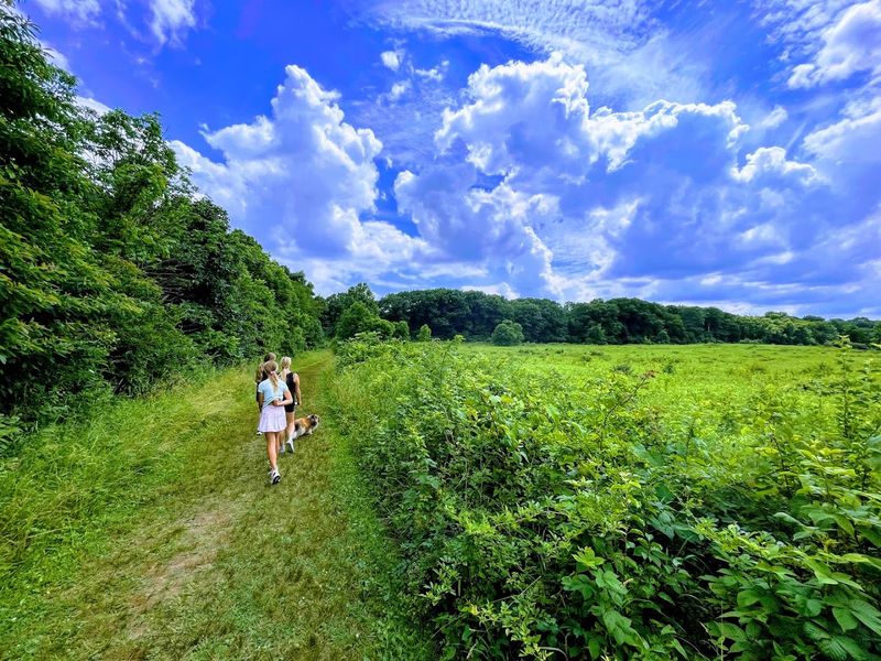 Highbanks Metro Park, Lewis Center, OH