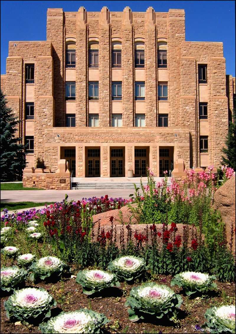Higher Learning Takes On A Whole New Meaning Up Here