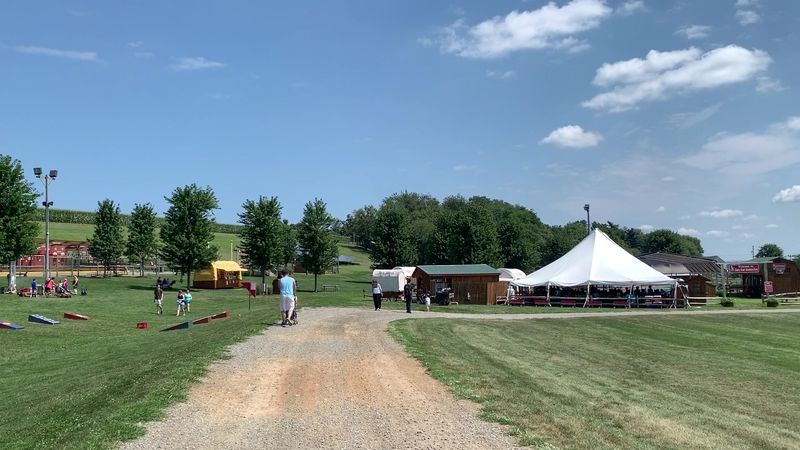 Highland Cows, Baby Chicks And A Petting Barn