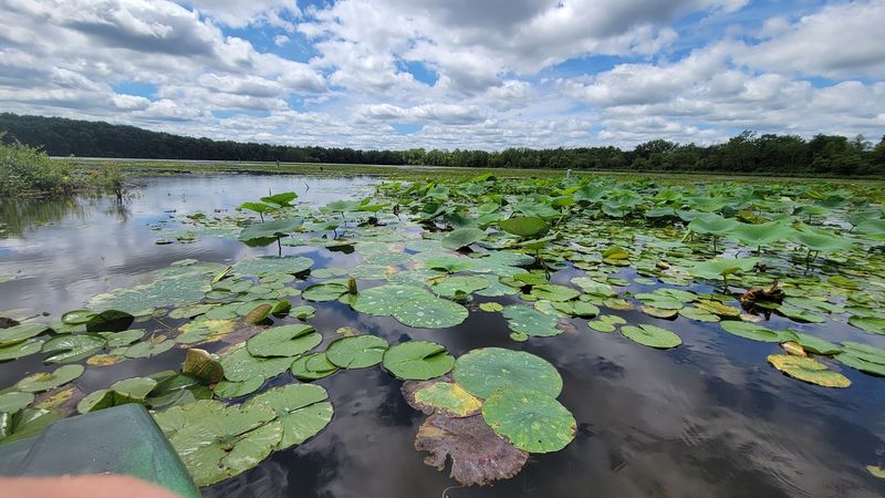 Spring Valley Wildlife Area, Waynesville, Ohio