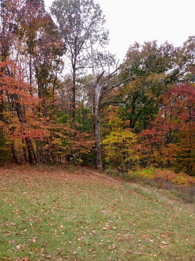 Fall Color Central in the Heart of Hoosier Country