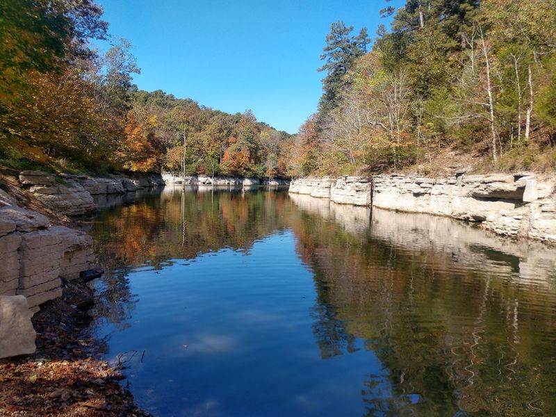 Highway 12 Through Hobbs State Park, Rogers
