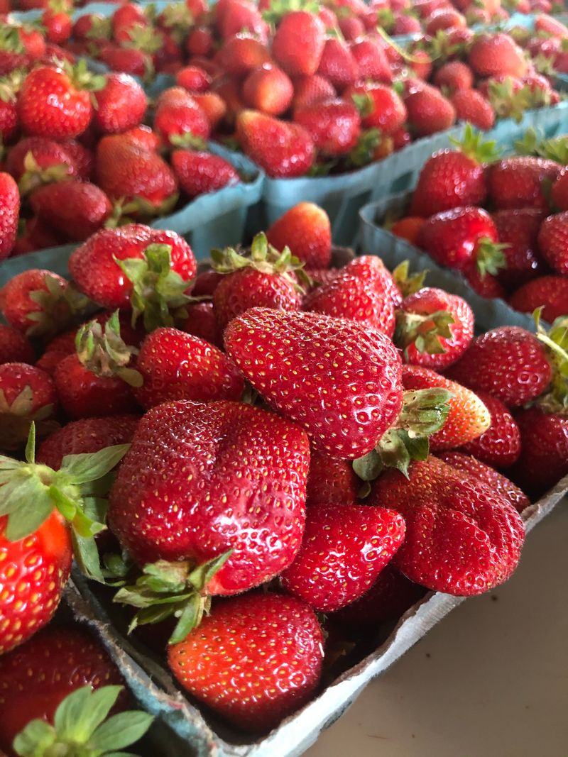 Highway 19 Produce, South
