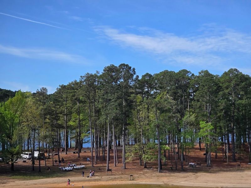 Highway 7 Recreation Area Swim Beaches, Arkadelphia