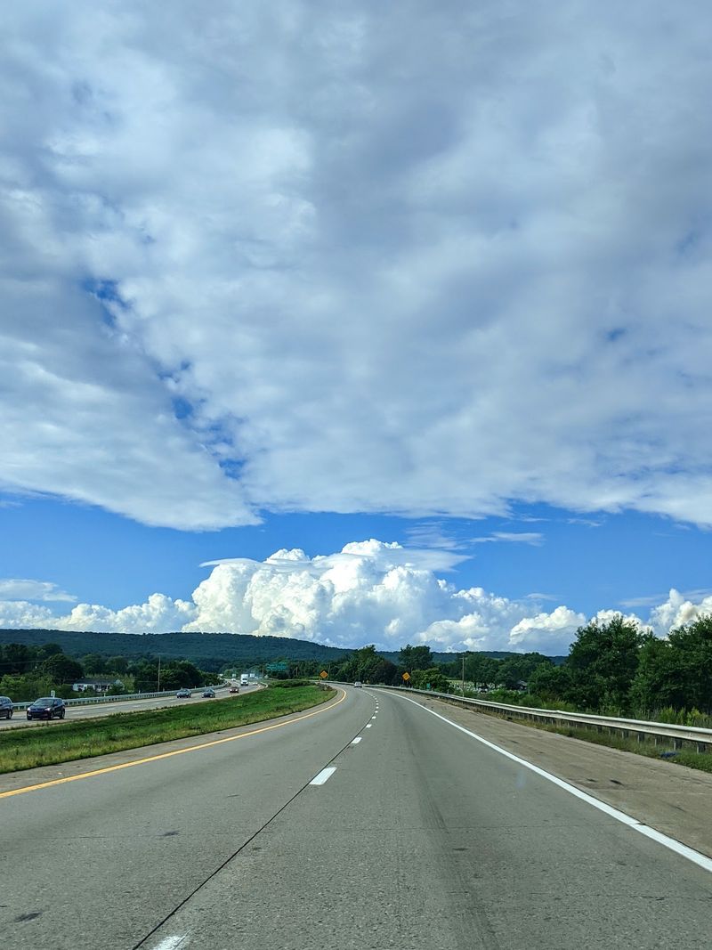 Highways Meet Habitat At A Busy Crossroads