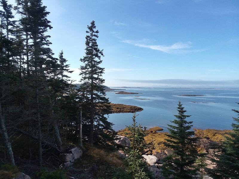 Hike Across Coastal Bogs And Granite Headlands On Great Wass Island