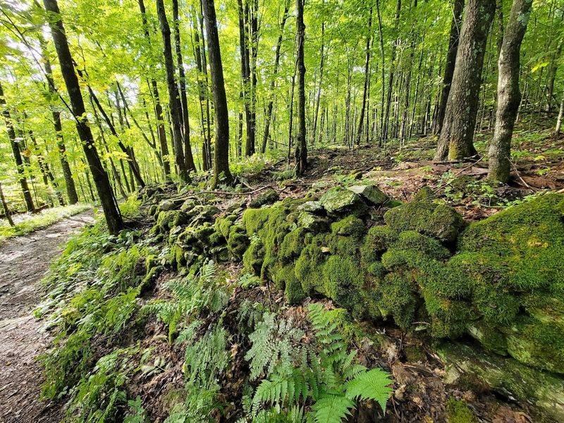 Hike The Trails And Earn Those Panoramic Views