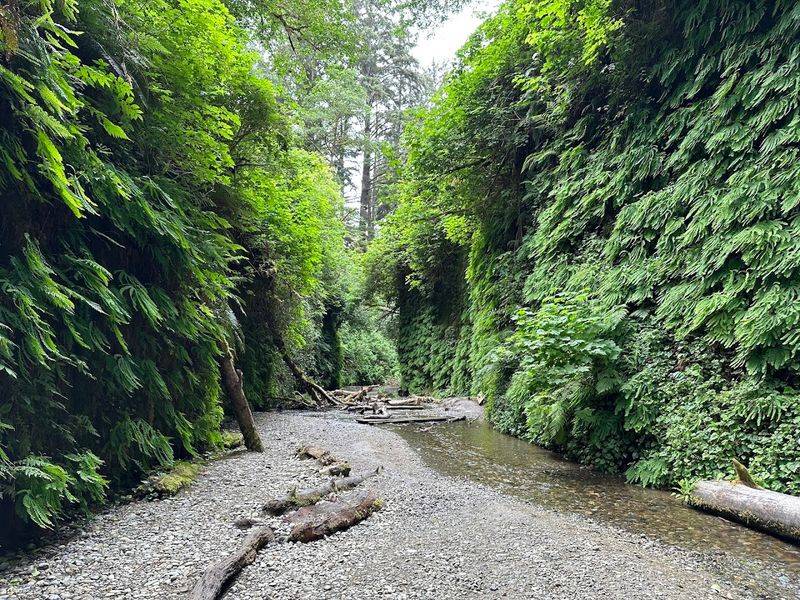 Hike Through Fern Canyon, Prairie Creek Redwoods State Park Hike Through Fern Canyon, Prairie Creek Redwoods State Park