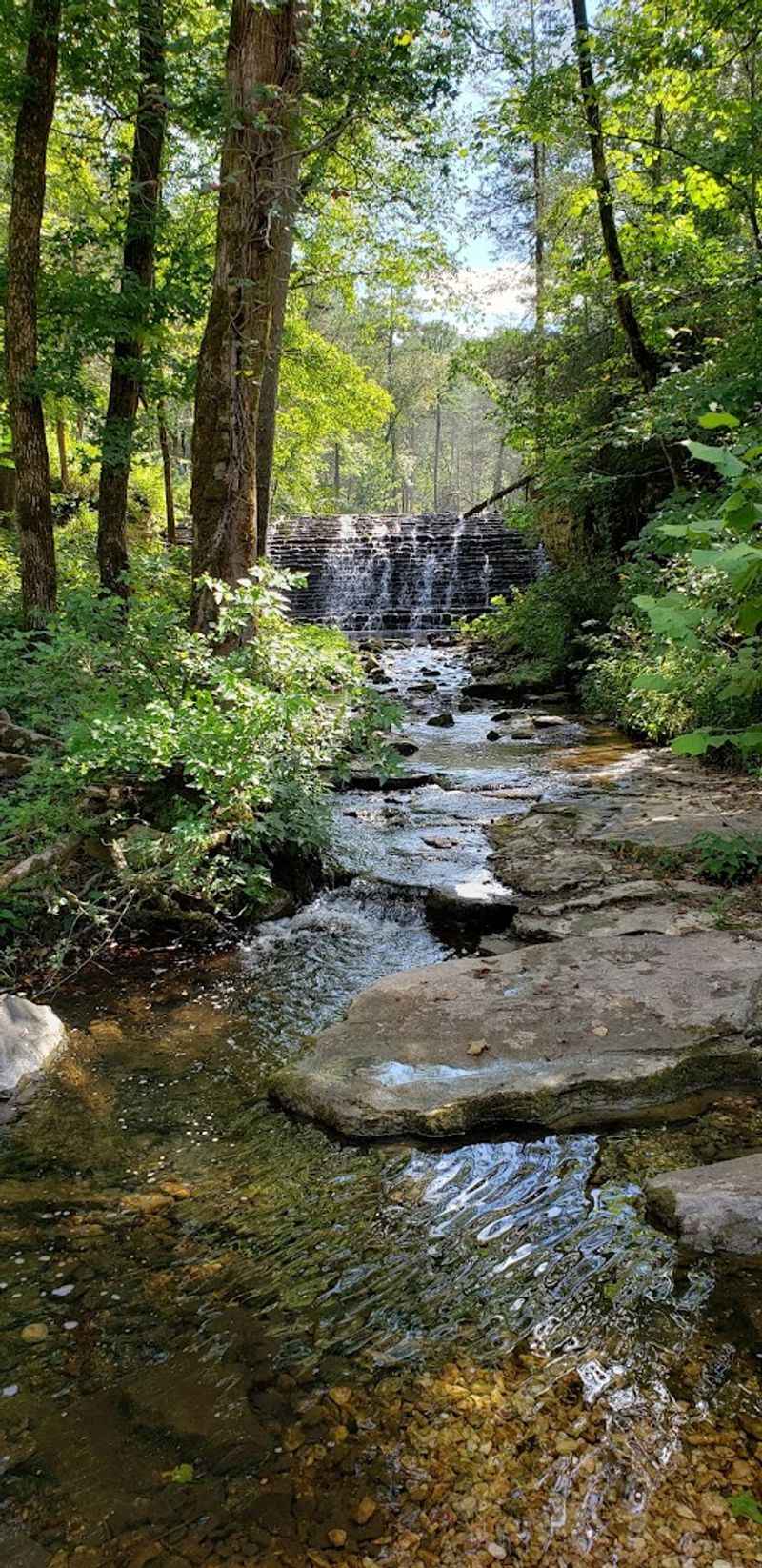 The Hidden Trail That Starts It All