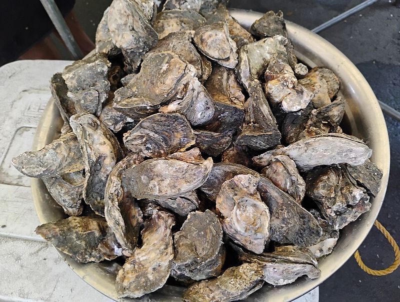 A Shellfish Story Worth Telling