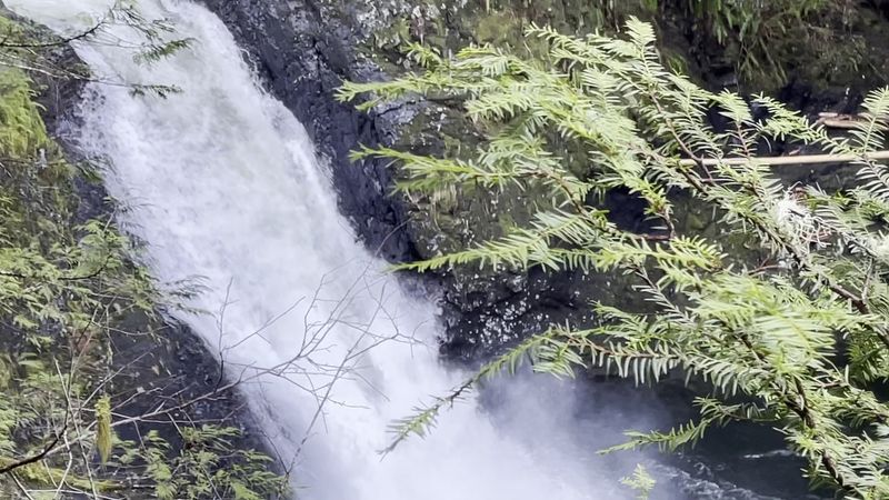 Lower Wallace Falls: Your First Big Reward