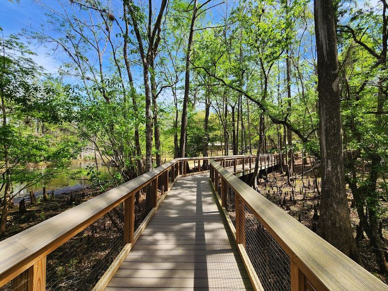 Camping Under The Florida Stars