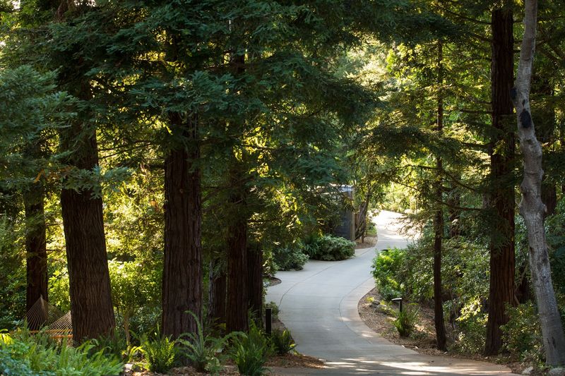 Hiking And Outdoor Experiences That Reconnect You With The Wild Hiking And Outdoor Experiences That Reconnect You With The Wild
