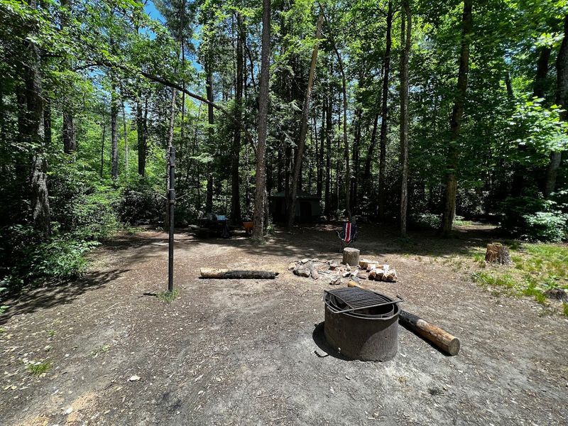 Breakfast At Burrell's Ford Campground Area