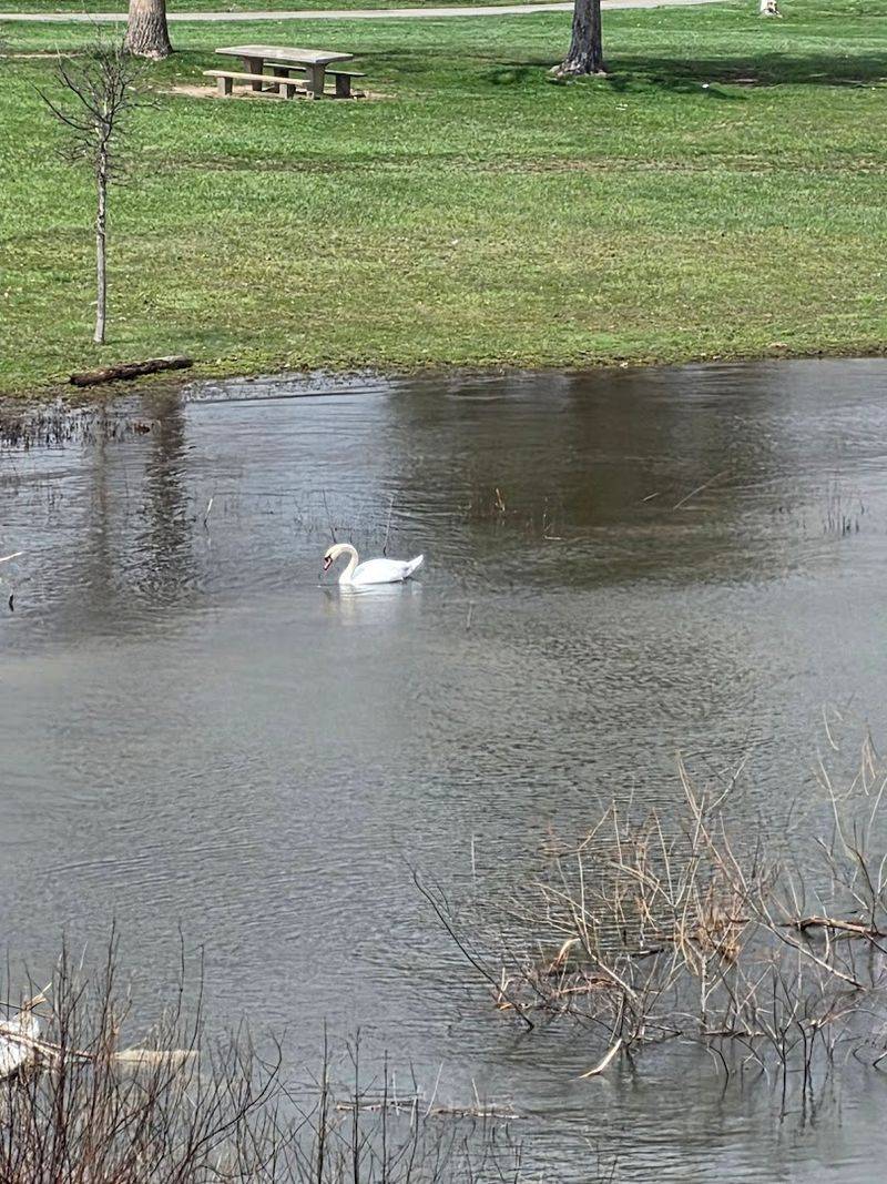 Birdwatching At Its Finest