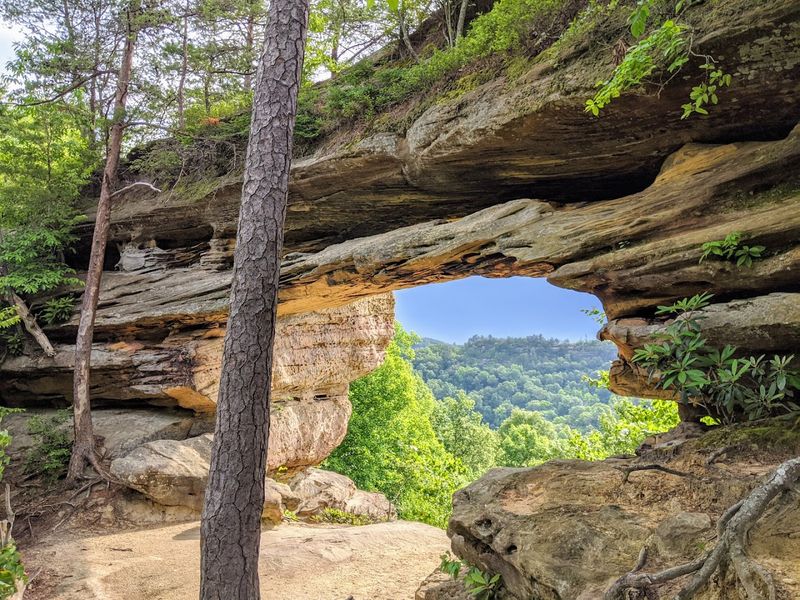 Hiking The Trails That Surround The Lake Inside Daniel Boone National Forest