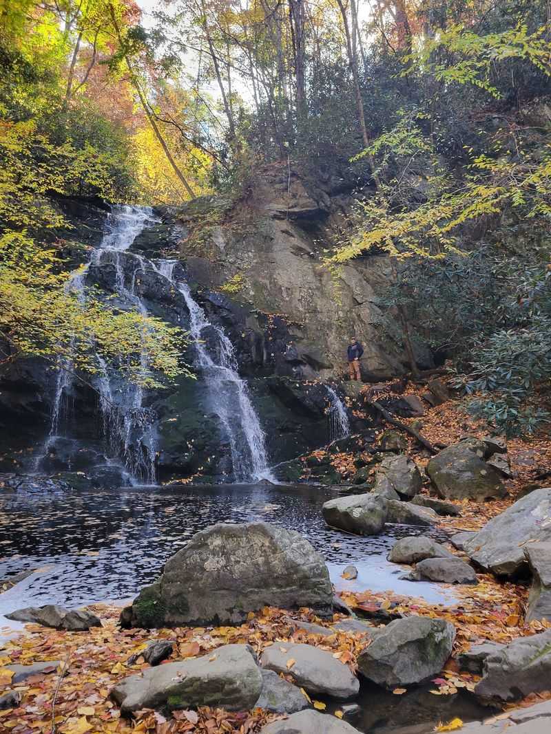 Hiking Through A Living Tapestry Of Autumn Leaves